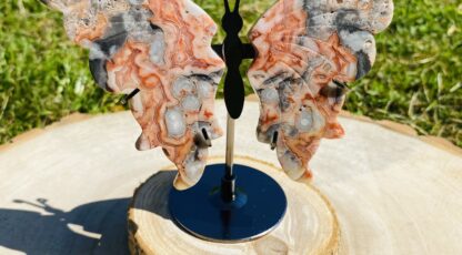 Papillon en agate crazy lace