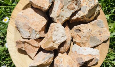 Pierre brute jaspe léopard