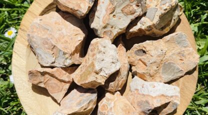 Pierre brute jaspe léopard