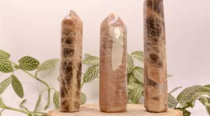 Lot pointe pierre de lune (M2)