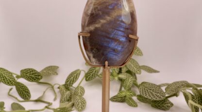 Forme libre pierre de lune et de soleil(GM)