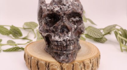 Crâne en yooperlite