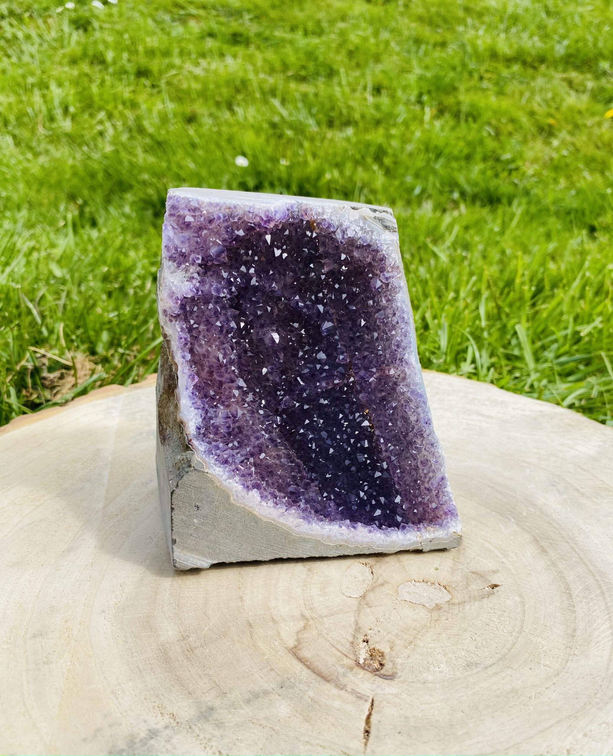 Améthyste bord brute