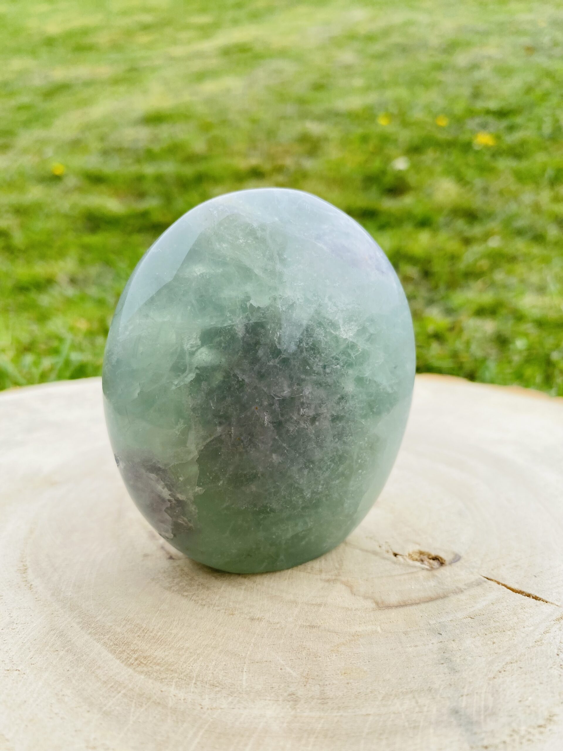 Forme libre en FLUORINE