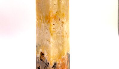 POINTE POLIE JASPE BUMBLEBEE (M2)