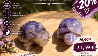 Tortue en Améthyste