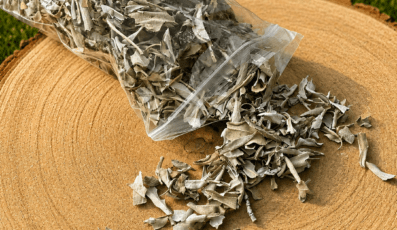 FEUILLES DE SAUGE BLANCHE