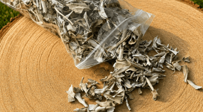 FEUILLES DE SAUGE BLANCHE