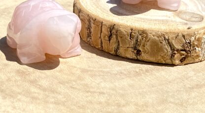 Tortue en Quartz rose
