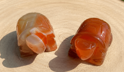 Tortue en Cornaline